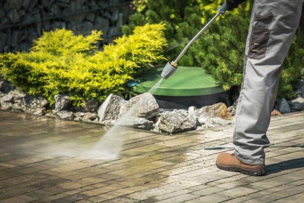 Animal Enclosure Cleaning in Timonium, MD
